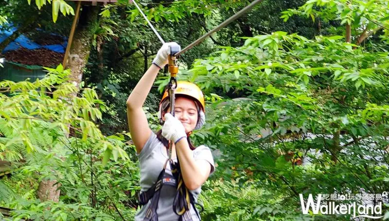 到花蓮「野猴子探險森林」體驗亞熱帶森林樹冠層探險