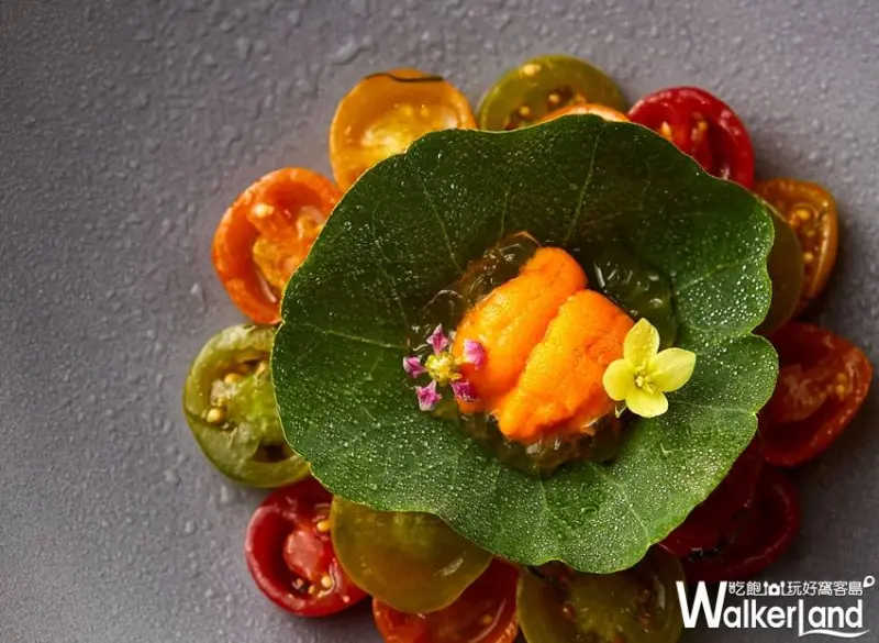 TABLE by Yoji Tokuyoshi