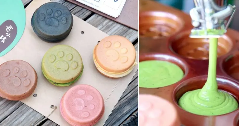 台南美食-芯芯要去【八柴町。今川焼き】~繽紛馬卡龍色|可愛柴犬掌造型|今川燒