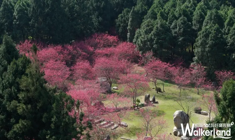 九族文化村 / WalkerLand窩客島提供