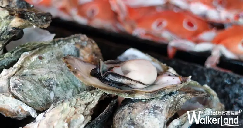 50樓Café / WalkerLand窩客島整理提供