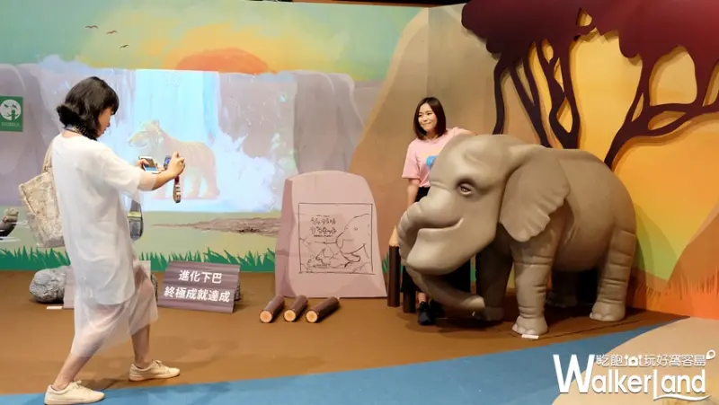 「扭蛋星球特展」/ WalkerLand窩客島提供