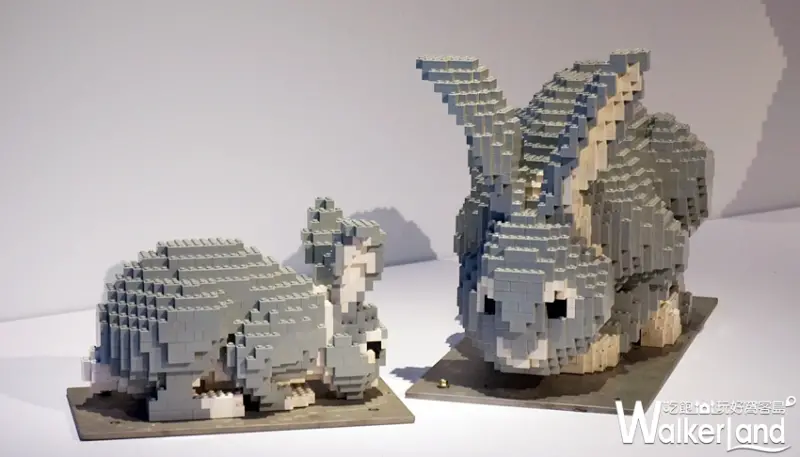 Nature Connects大動物奇積特展 / WalkerLand窩客島提供