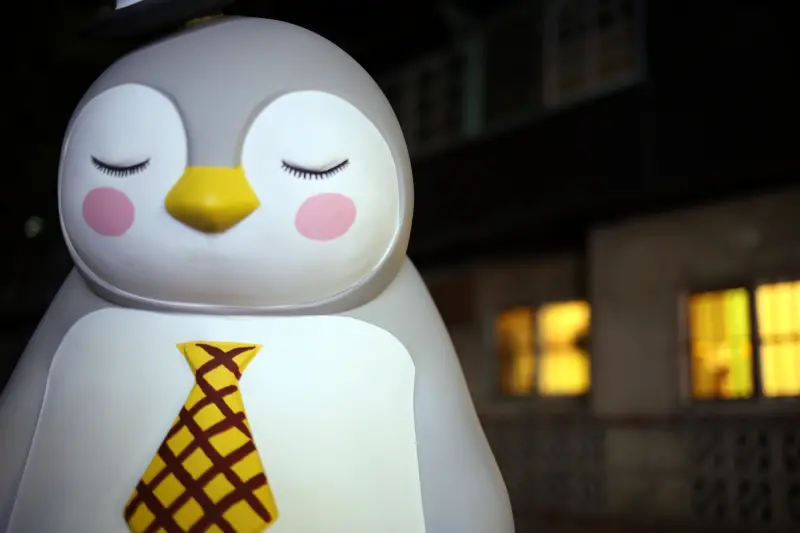 嘉義沉睡森林 / WalkerLand窩客島整理提供