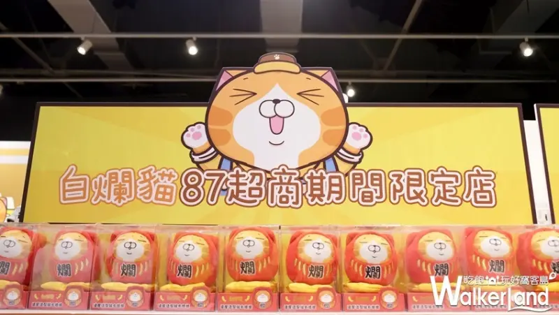 華山免費打卡「白爛貓87超商期間限定店」/ WalkerLand窩客島提供