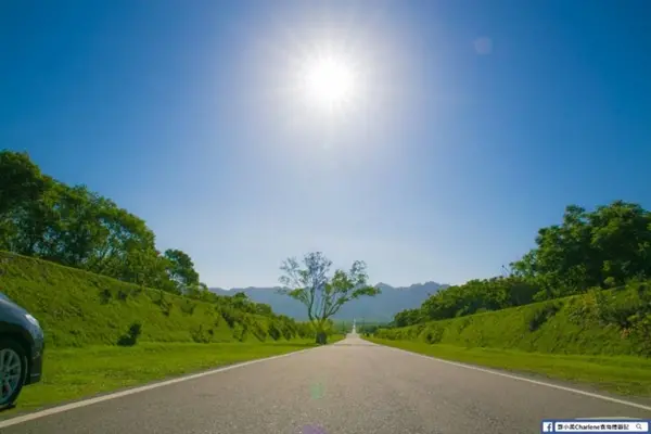 花蓮 景點 拍照 打卡 文青 網紅 懶人包 大農大富平地森林園區 / WalkerLand窩客島提供