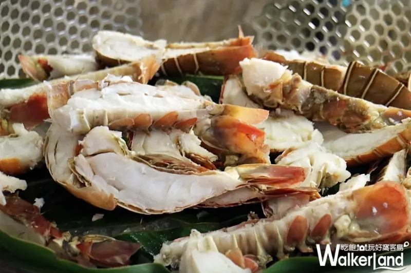 台北新板希爾頓酒店 / WalkerLand窩客島整理提供