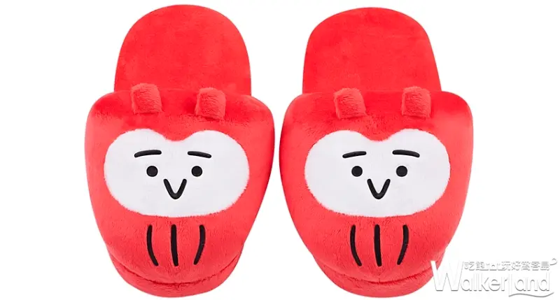 短耳貓頭鷹 / WalkerLand窩客島提供