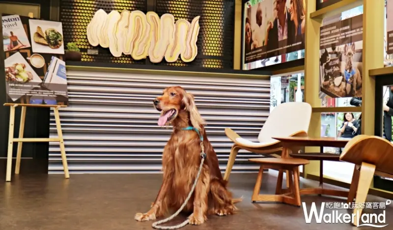 金普頓®酒店及餐廳(Kimpton Hotels & Restaurants)/ WalkerLand窩客島整理提供