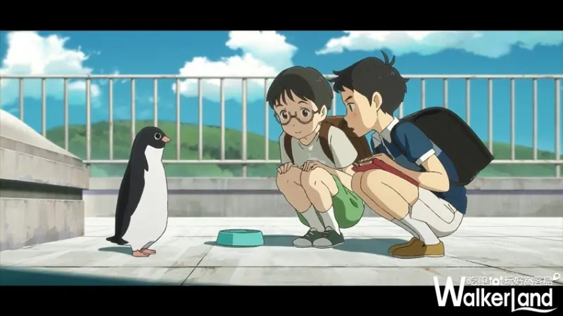 企鵝公路 / WalkerLand窩客島提供