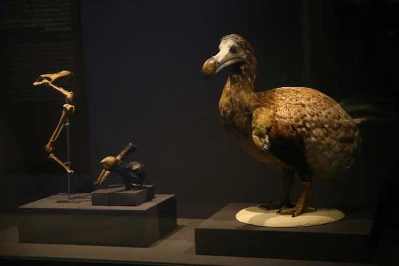 聯合數位文創 / WalkerLand窩客島整理提供