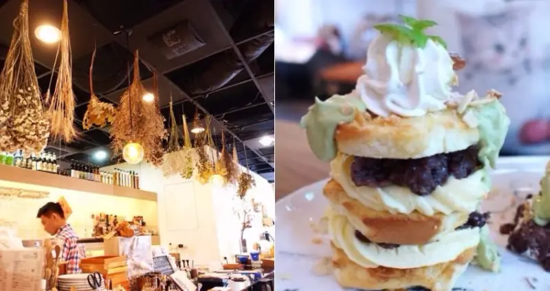 【咖啡簡餐】11 CAFE、松山文創園區早午餐甜點下午茶咖啡廳、療癒貓咪狗狗抱枕環繞、近市政府捷運站