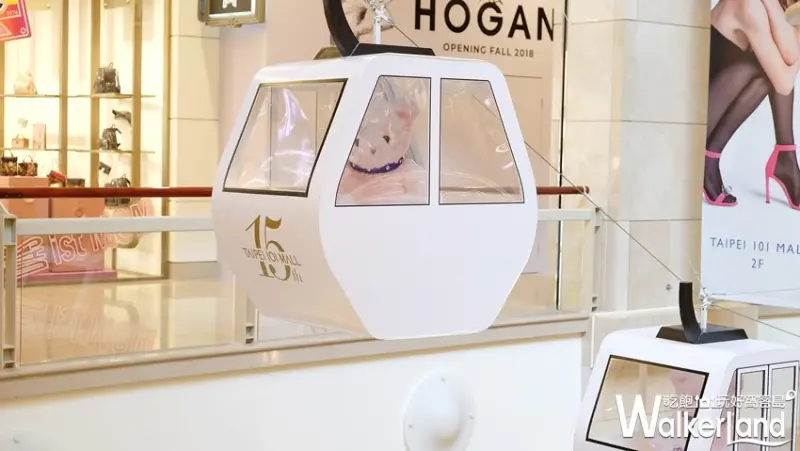 台北101展覽 / WalkerLand窩客島提供
