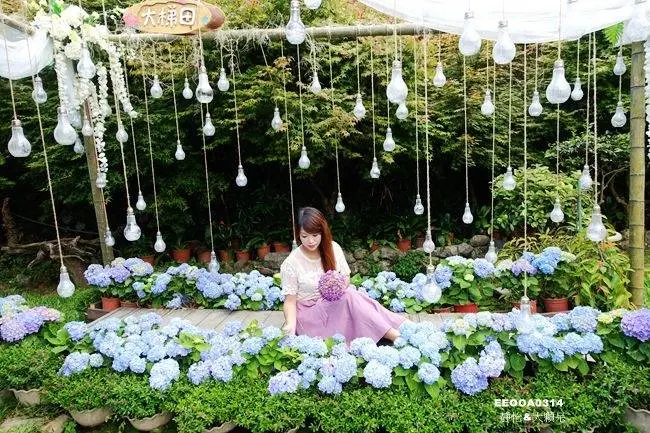 窩客 靜怡 推薦 大梯田花卉生態農場