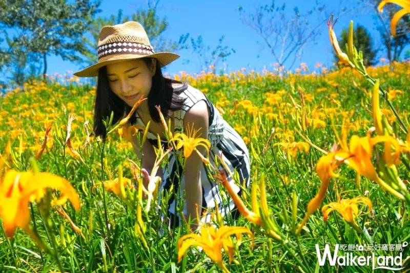 周年慶就是要搶便宜！知本老爺26周年首波主打「+26元」即可享專案房型升等，再加碼「尋找靜安」免費住一晚優惠活動。