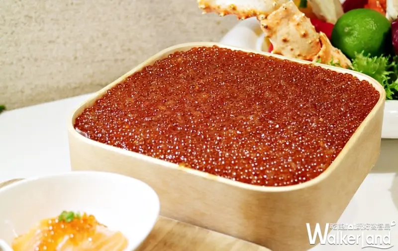 台北美福彩匯自助餐 / WalkerLand窩客島整理提供