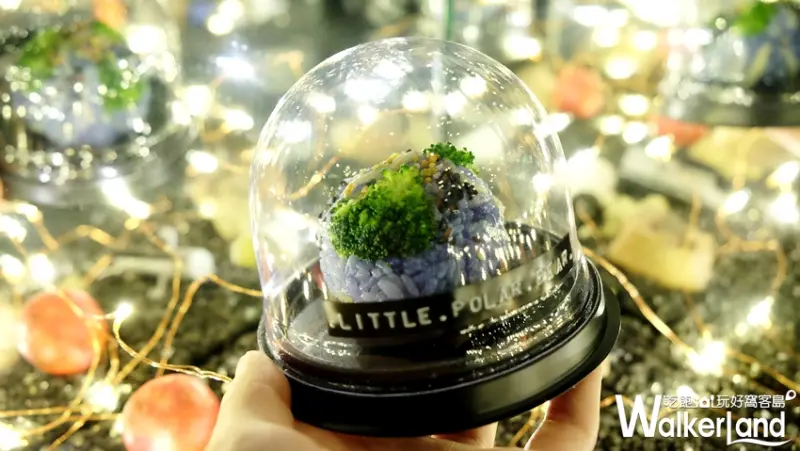星球製造所/ WalkerLand窩客島提供