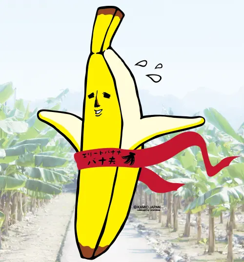 不要再Apple pen了！「旗山馬拉松香蕉路跑」告訴你！香蕉才是王道！