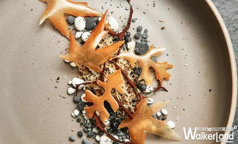 TOSCANA松露盛宴 / WalkerLand窩客島整理提供