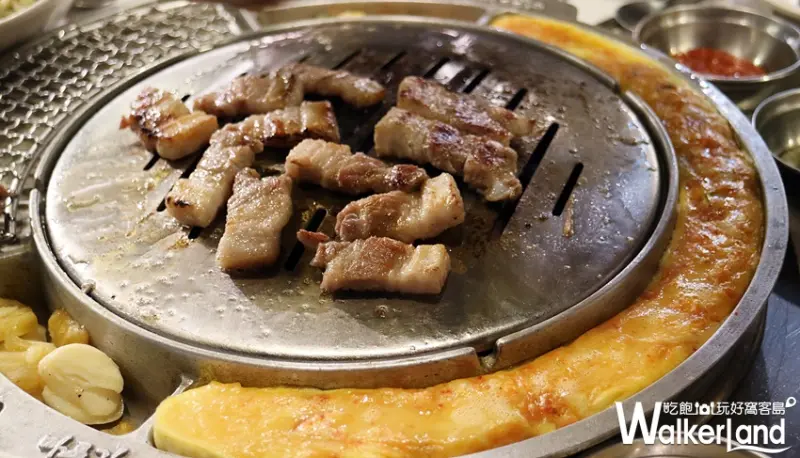 新麻蒲海鷗 / WalkerLand窩客島提供