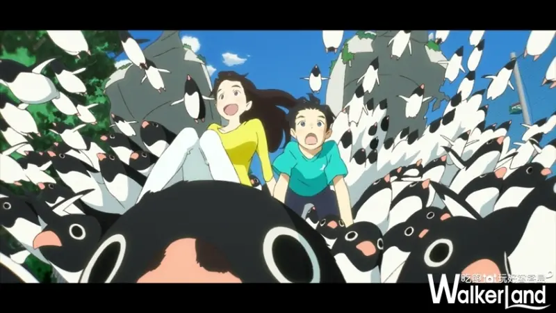 企鵝公路 / WalkerLand窩客島提供