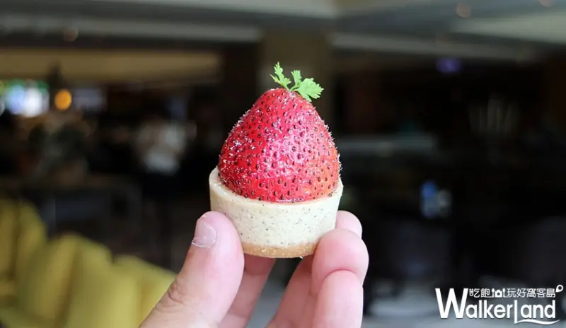 Elite Café / WalkerLand窩客島整理提供