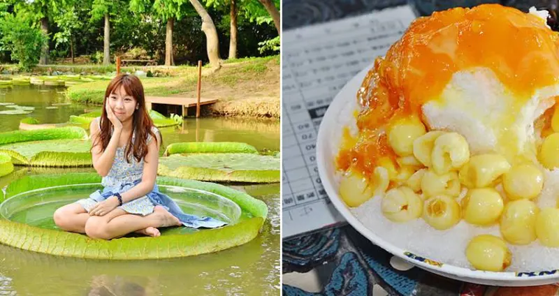 <桃園觀音>遊記:桃園蓮花季荷浪桃桃一日遊~夏日一起賞蓮去，超有趣的坐大王蓮體驗，沁涼消暑的蓮子豆花，百年林家古厝見習，驚奇逗趣的布袋戲表演