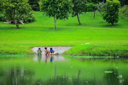 帶我去野餐踏青，戶外控一定要知道的全台野餐踏青推薦景點，說走就走不用預約訂位！