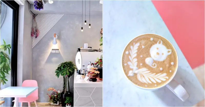 新竹森川咖啡：療癒小柴犬，陪妳喝咖啡！