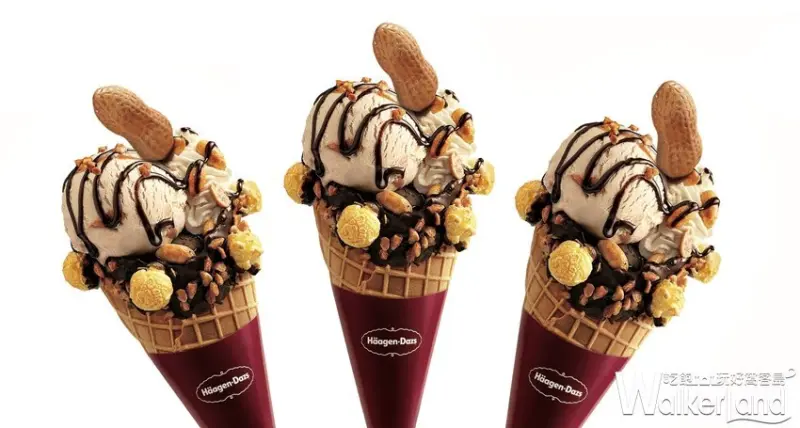 雙11光棍節  / WalkerLand窩客島提供