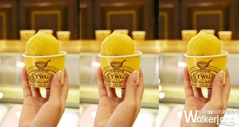 TWG / WalkerLand窩客島整理提供