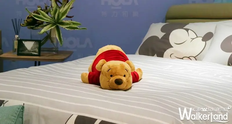 HOLA 20週年慶 / WalkerLand窩客島整理提供