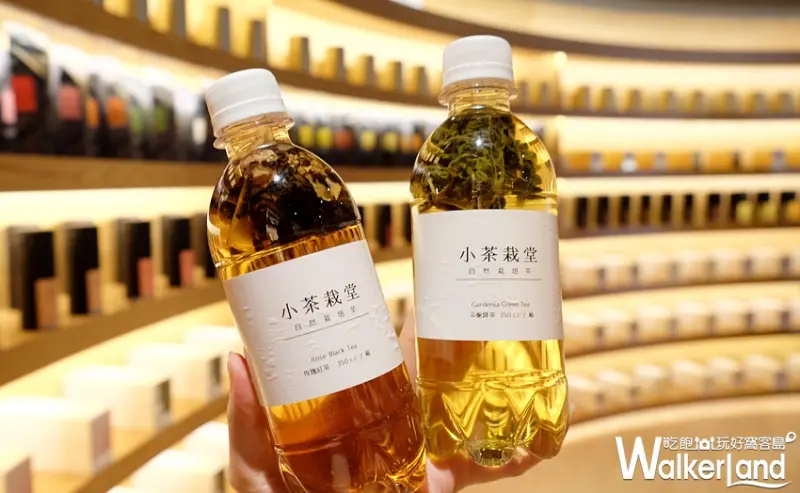小茶栽堂(永康旗艦店) / WalkerLand窩客島提供