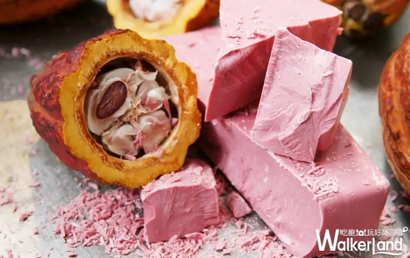 KitKat Ruby / WalkerLand窩客島整理提供