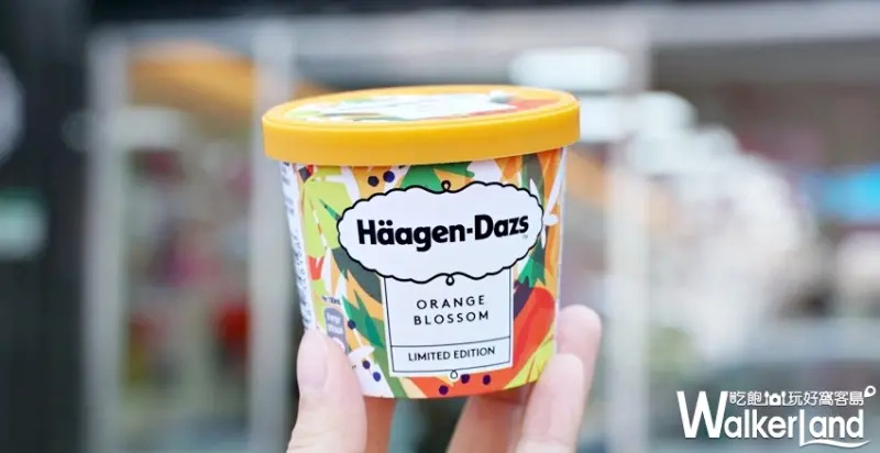 Häagen-Dazs / WalkerLand窩客島提供