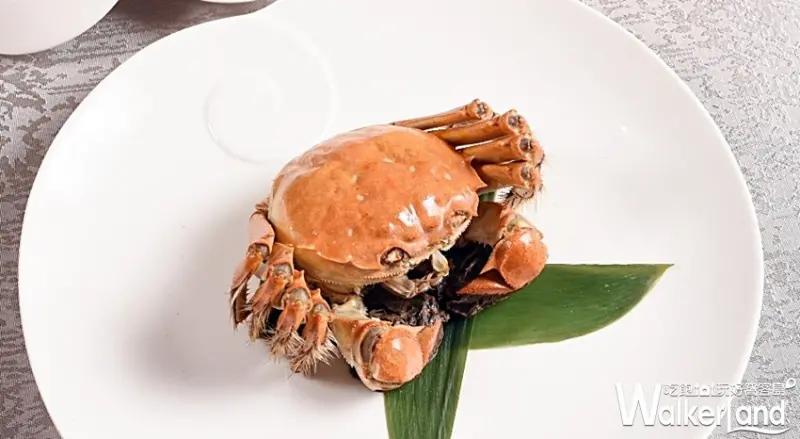 圓山大飯店 / WalkerLand窩客島整理提供