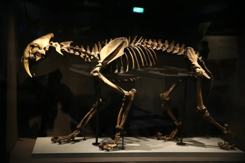 聯合數位文創 / WalkerLand窩客島整理提供