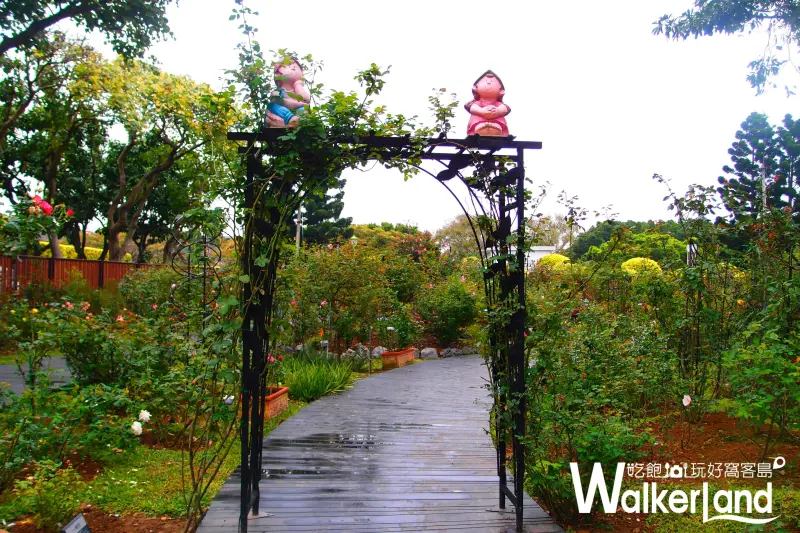 新生公園,玫瑰展,賞花