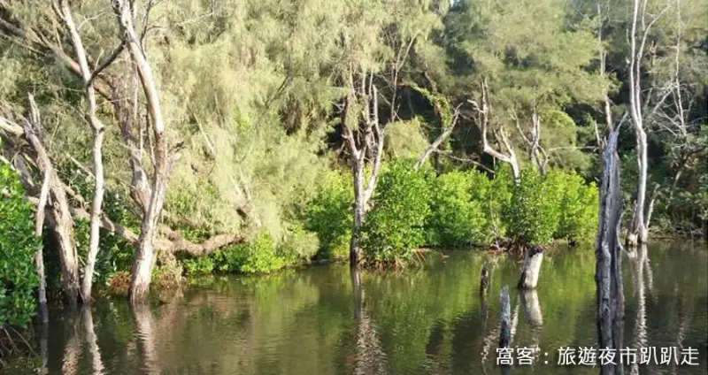11個需要台南人帶路的美食、景點，這時候你就知道台南朋友有多重要！