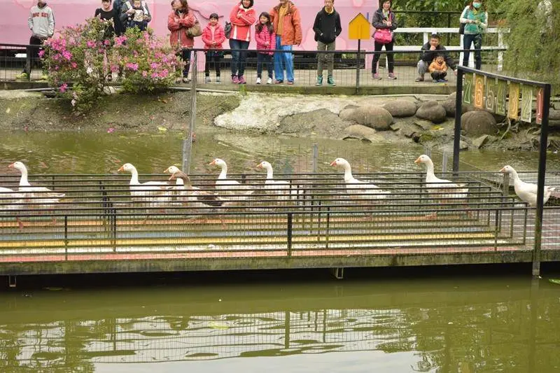 嘉義中埔鄉小旅行，轉型中的農趣小鎮。西拉雅國家風景區管理處將啟動全力輔導。