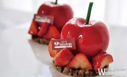 IG打卡就是要來這！統一時代百貨「美人節」讓網美們拍照打卡享美食還可以大肆購物。