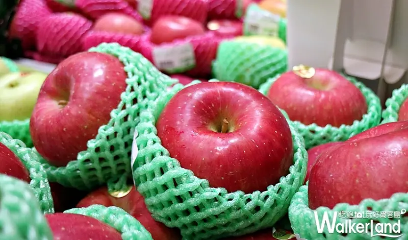 日本弘前展 / WalkerLand窩客島整理提供