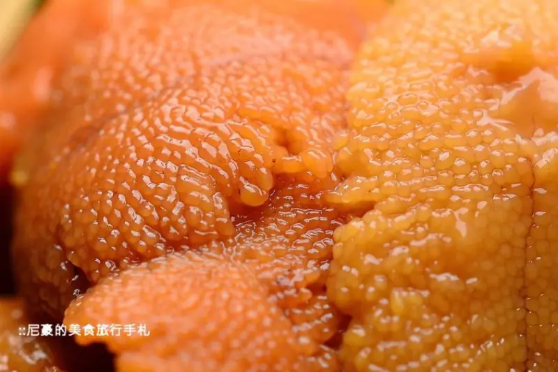 [台中北屯] 鮨匠手作壽司 平價美味日式料理 台中日本料理生魚片壽司美食必吃推薦食記 含菜單價位