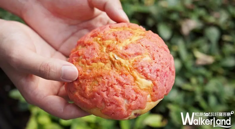 全家便利商店 / WalkerLand窩客島提供