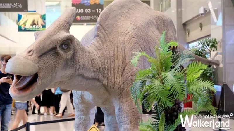 新北市「重返怪獸島」 / WalkerLand窩客島提供