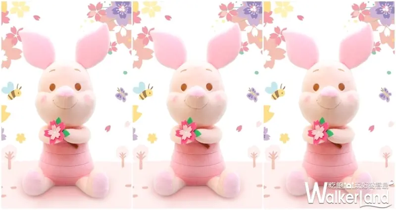 迪士尼櫻花季 / WalkerLand窩客島整理提供 未經許可不可轉載