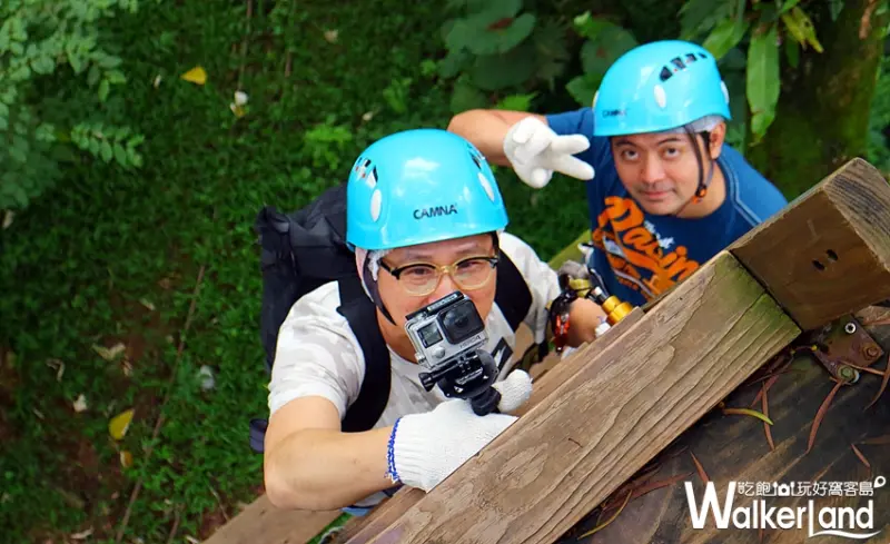 野猴子探險森林