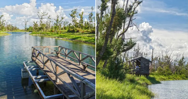 【台東】台東森林公園 - 台灣必去療癒系森林！