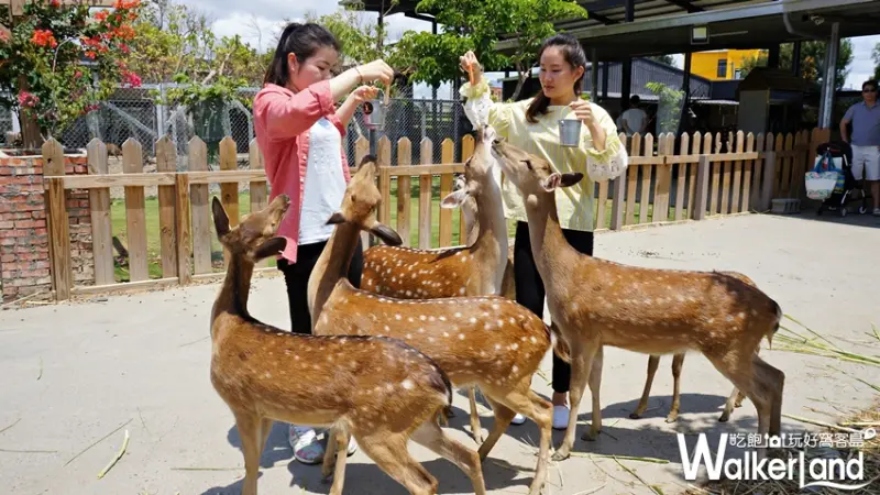  華泰瑞苑墾丁賓館 / WalkerLand窩客島提供