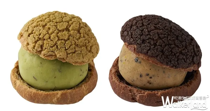 星巴克 星冰樂冰淇淋泡芙 / WalkerLand窩客島提供